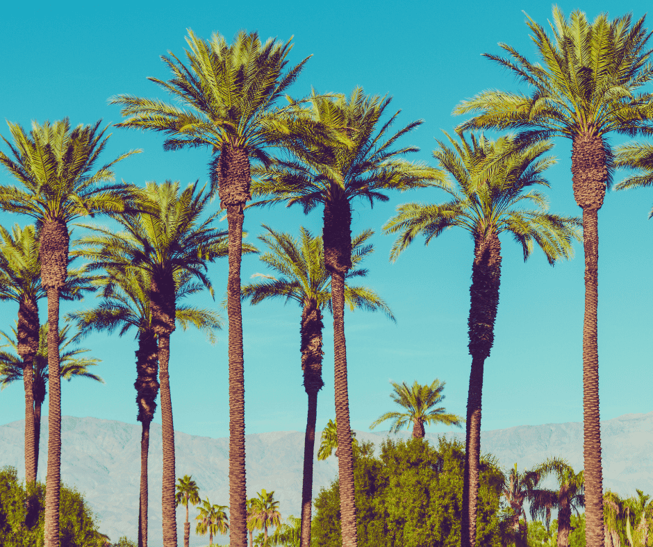 Choosing a Roofing Contractor in Costa Mesa