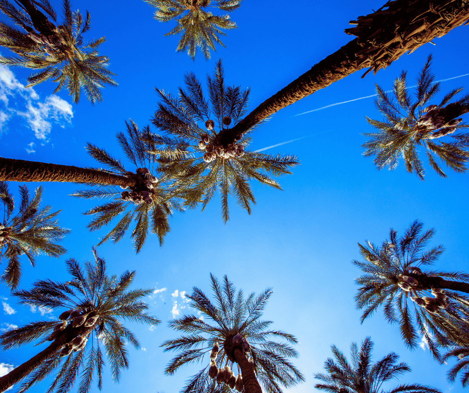 EPDM Membrane Roofing for Huntington Beach Flat and Low-Slope Roofs